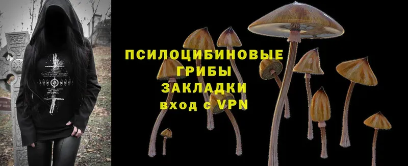 Псилоцибиновые грибы Cubensis  ОМГ ОМГ маркетплейс  Клин 